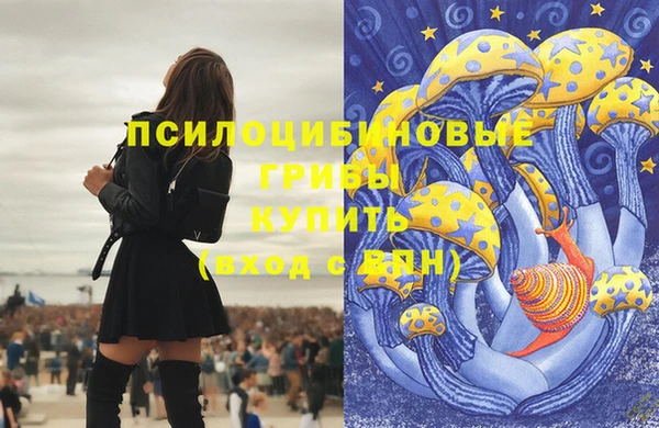 марихуана Болотное