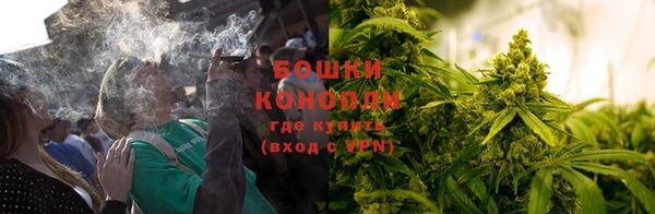 марихуана Болотное