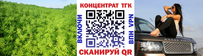 Дистиллят ТГК THC oil Советский