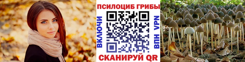 Псилоцибиновые грибы MAGIC MUSHROOMS Советский