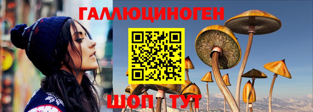 Псилоцибиновые грибы MAGIC MUSHROOMS Советский